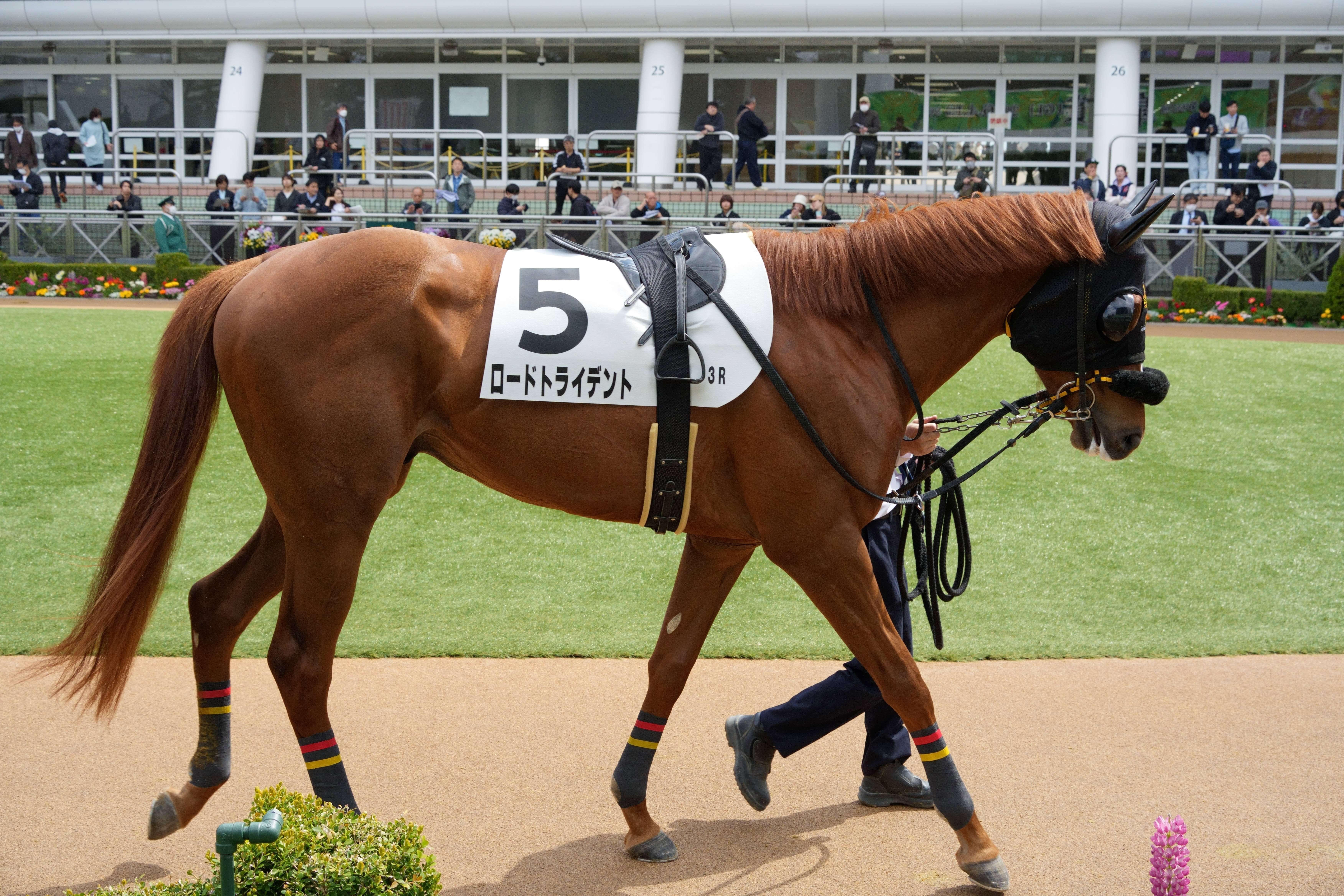 ロードトライデント