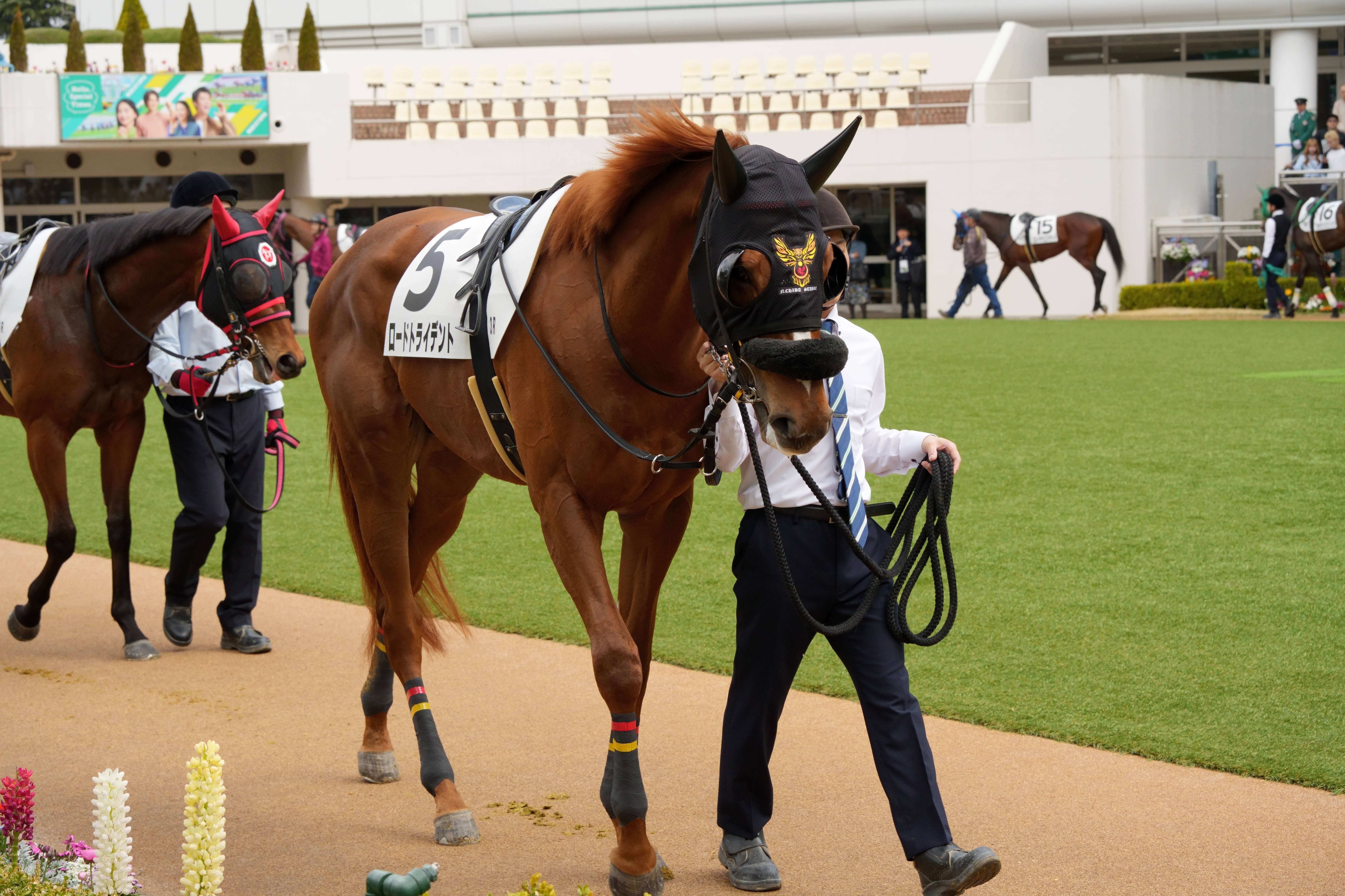 ロードトライデント