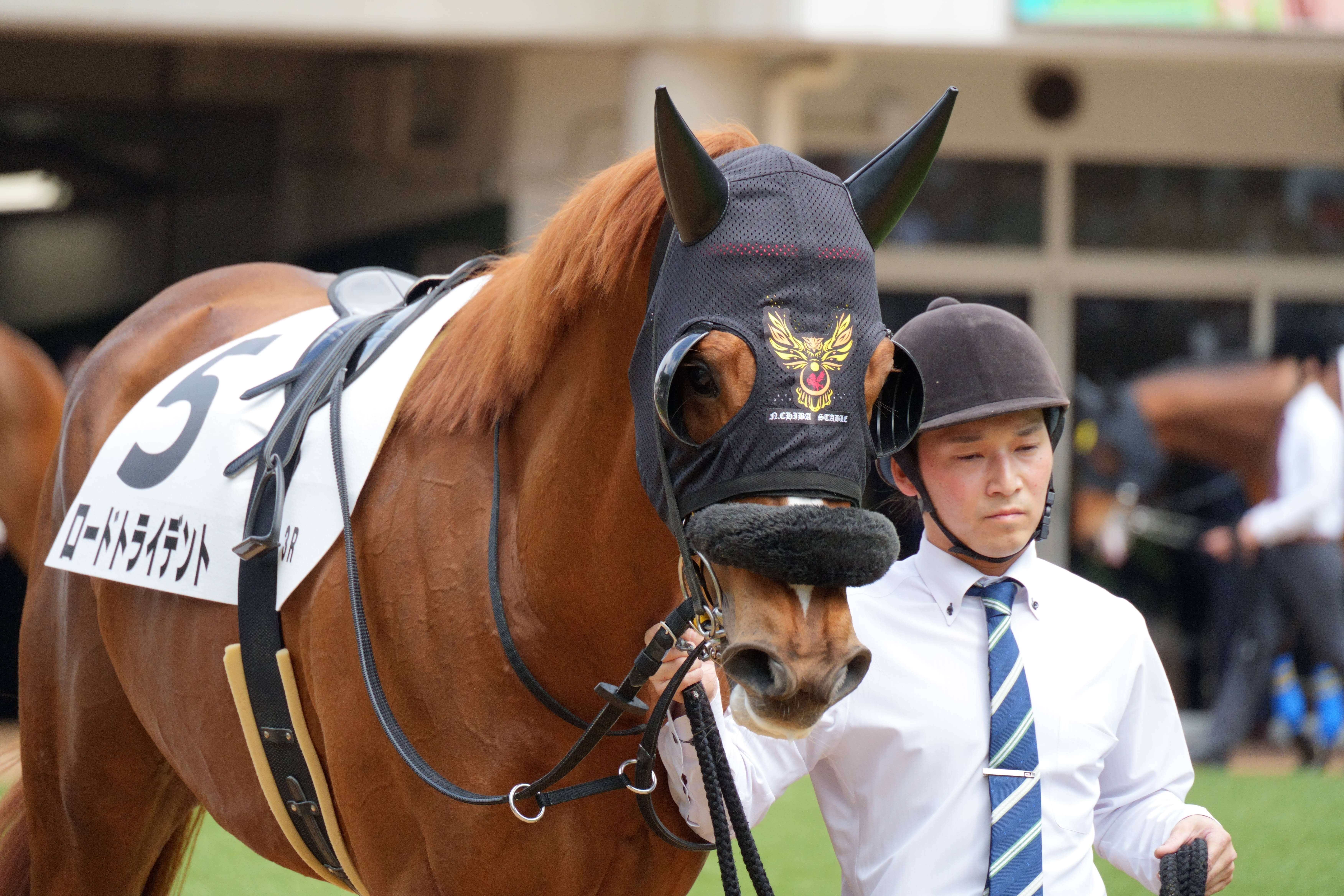 ロードトライデント