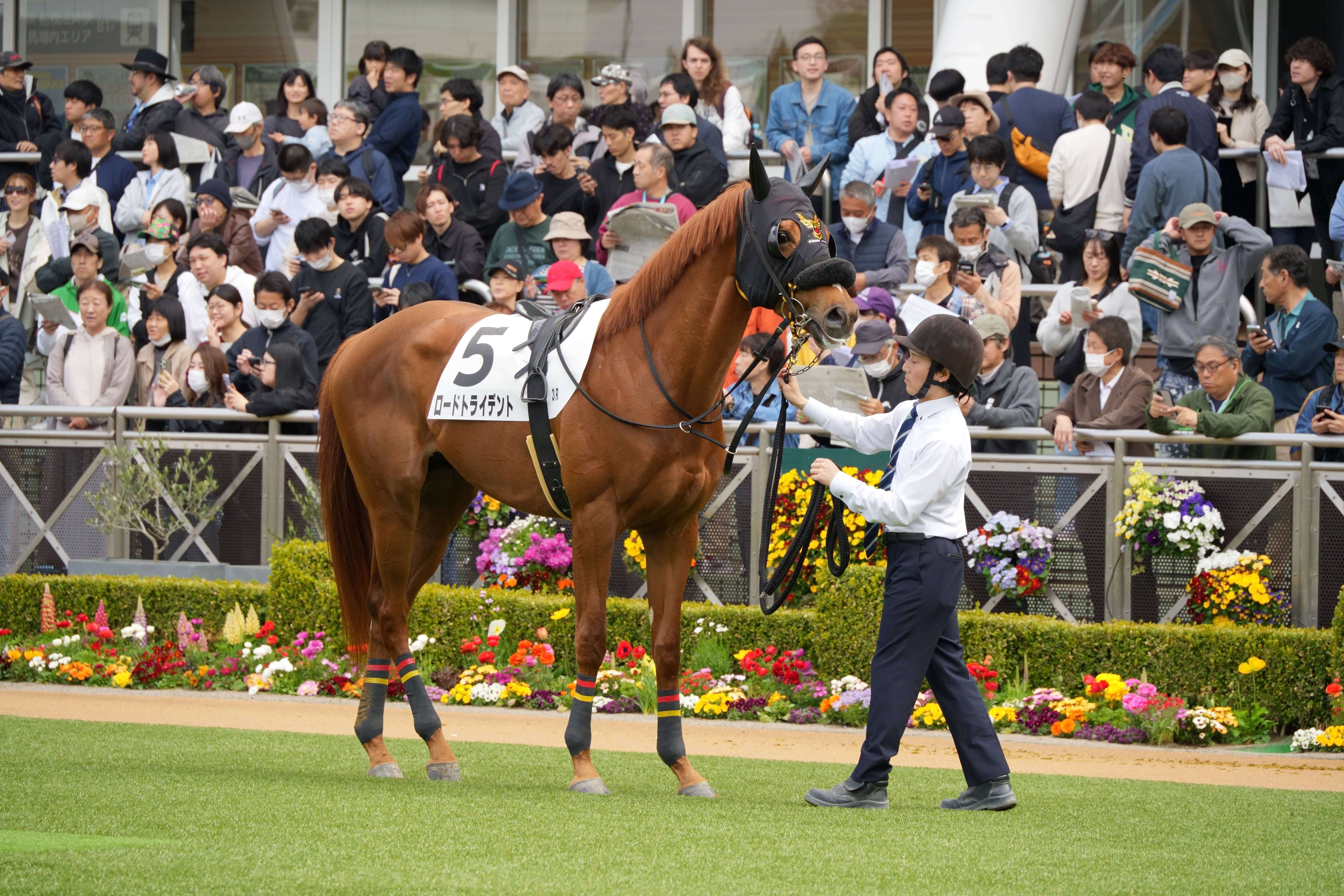 ロードトライデント