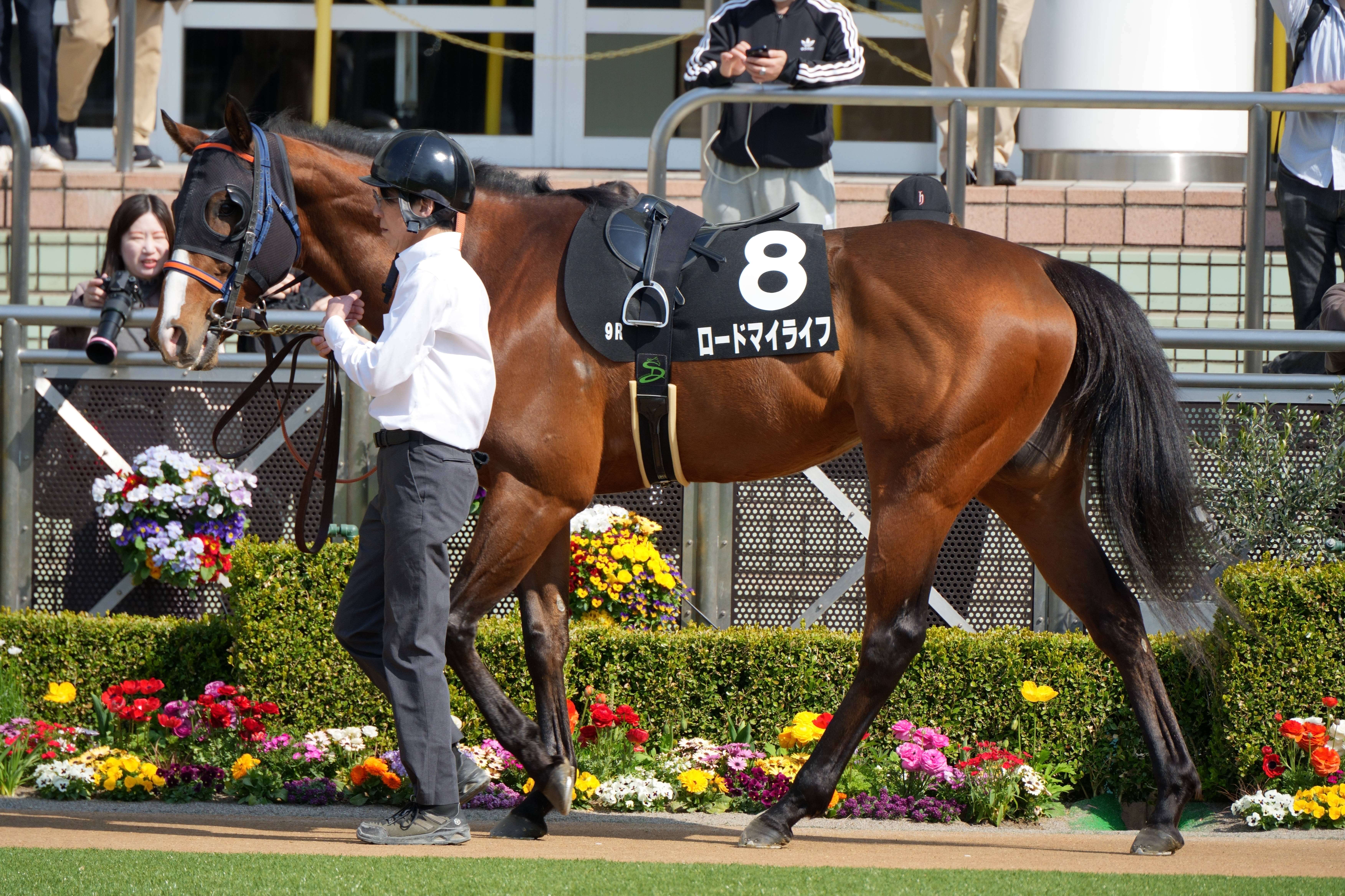 ロードマイライフ