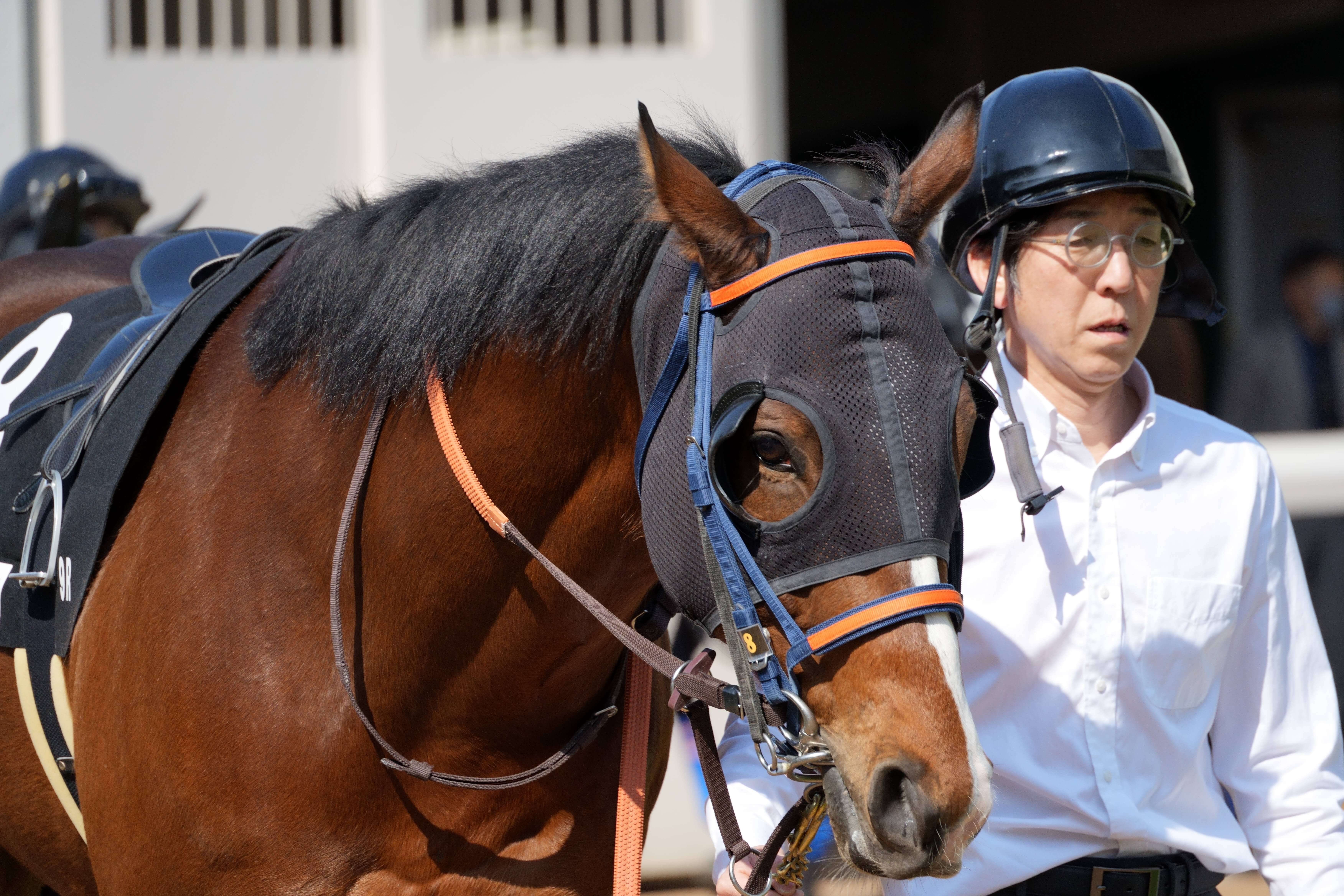 ロードマイライフ