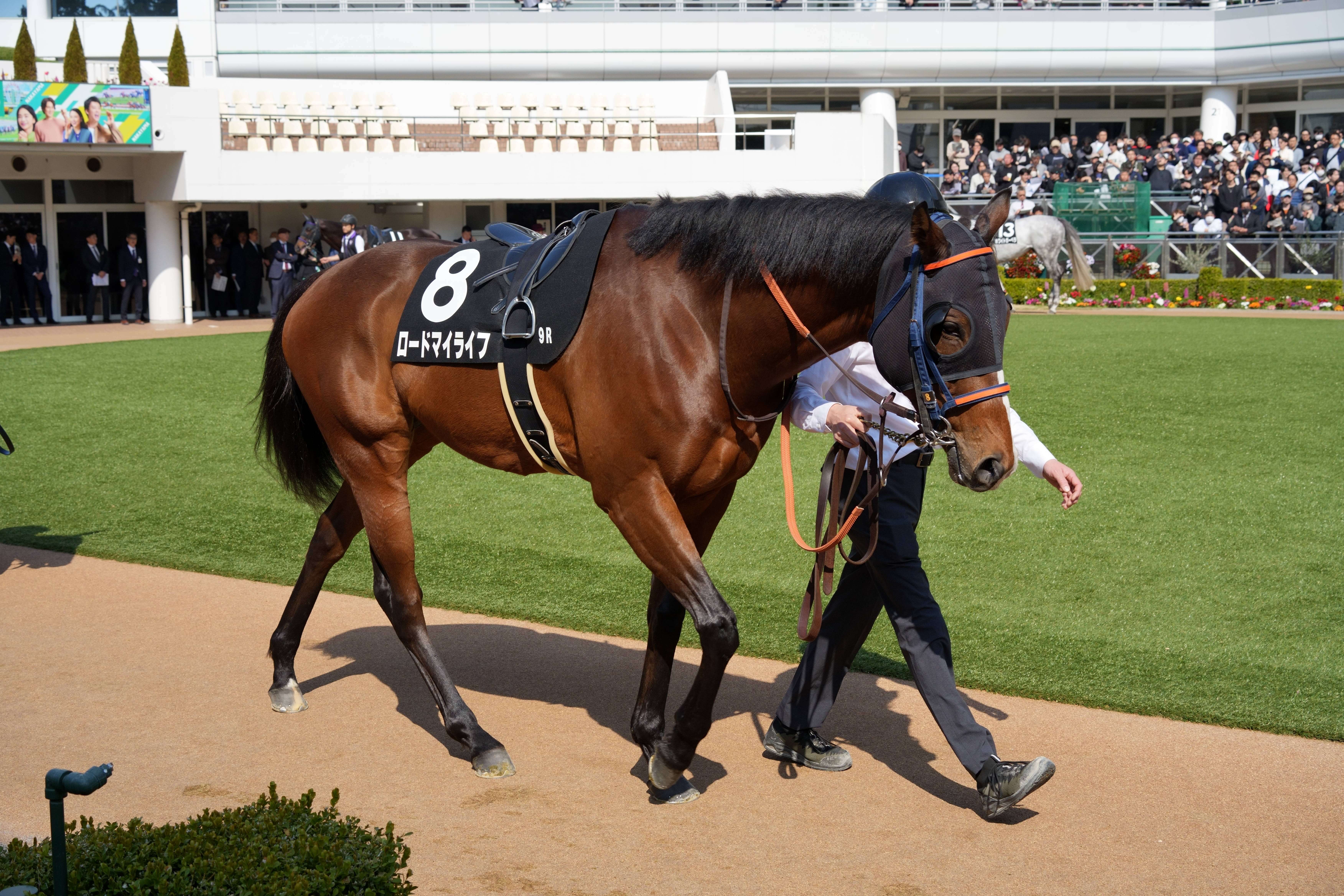 ロードマイライフ