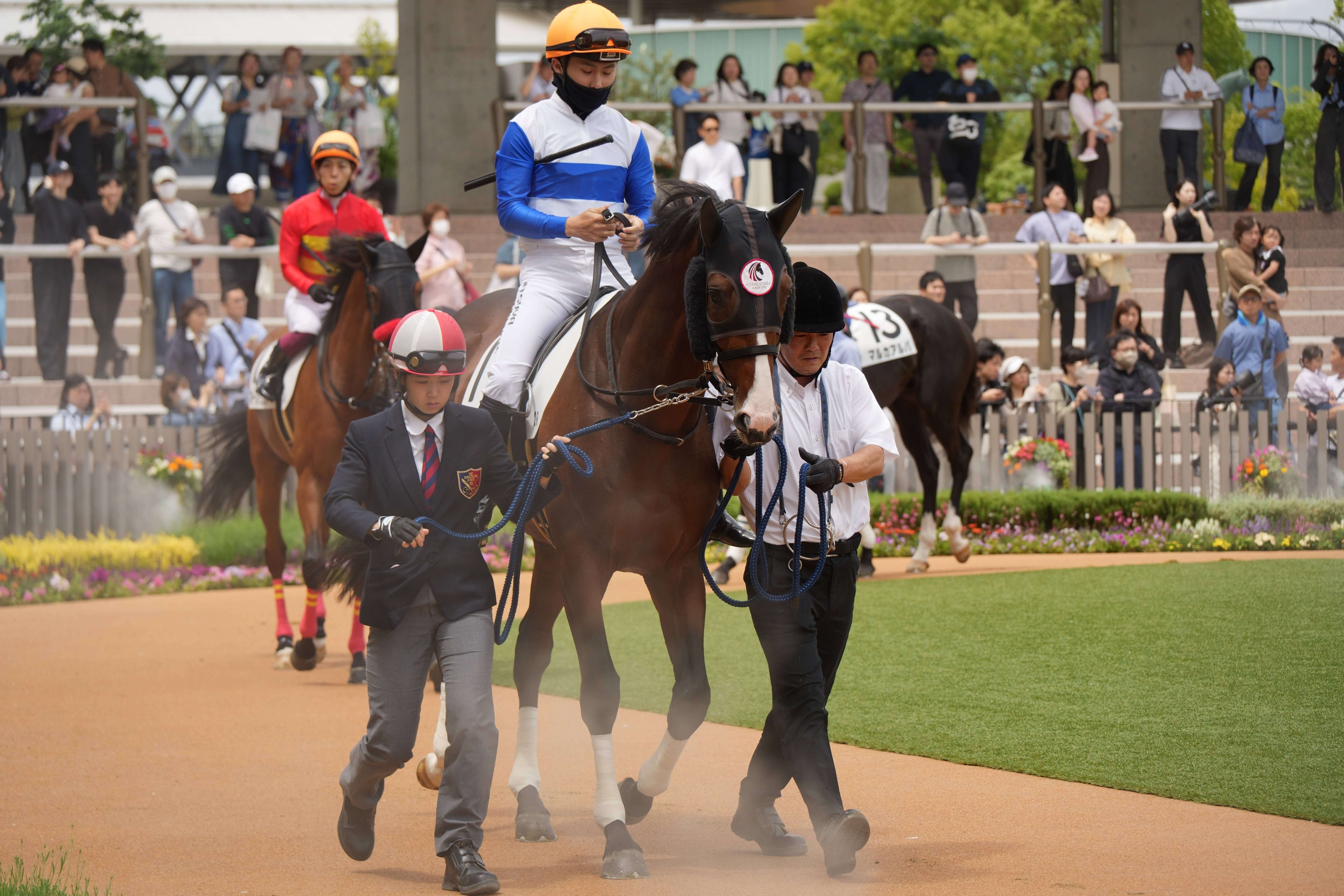ロードステラート