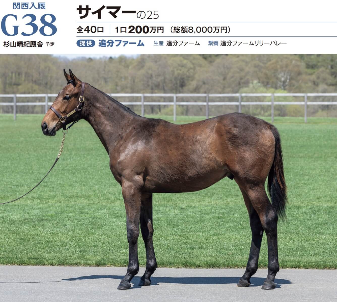サイマーの25