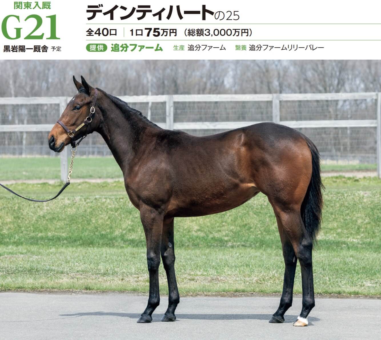 デインティハートの25