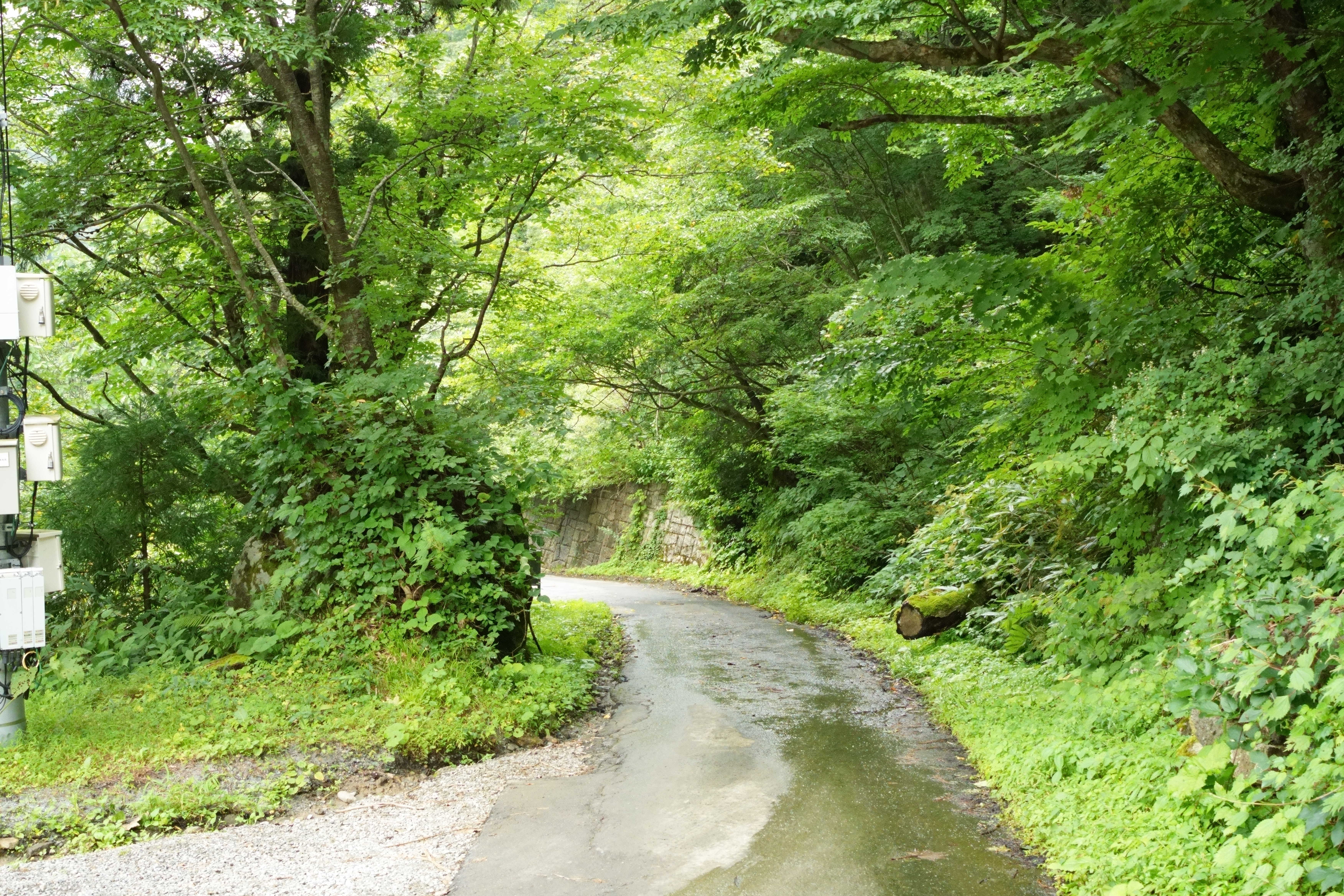 福島屋旅館